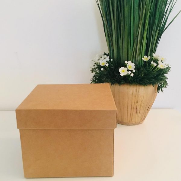 Kraft Boxes - Image 6